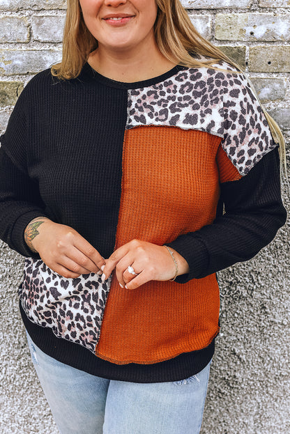 Schwarz orange colorblock leopard patchwork waffel stricken plus größe top